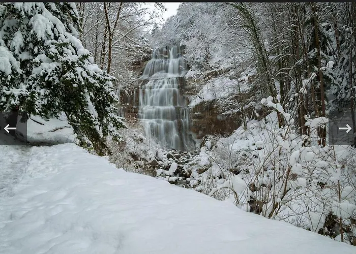 La Champagnolaise