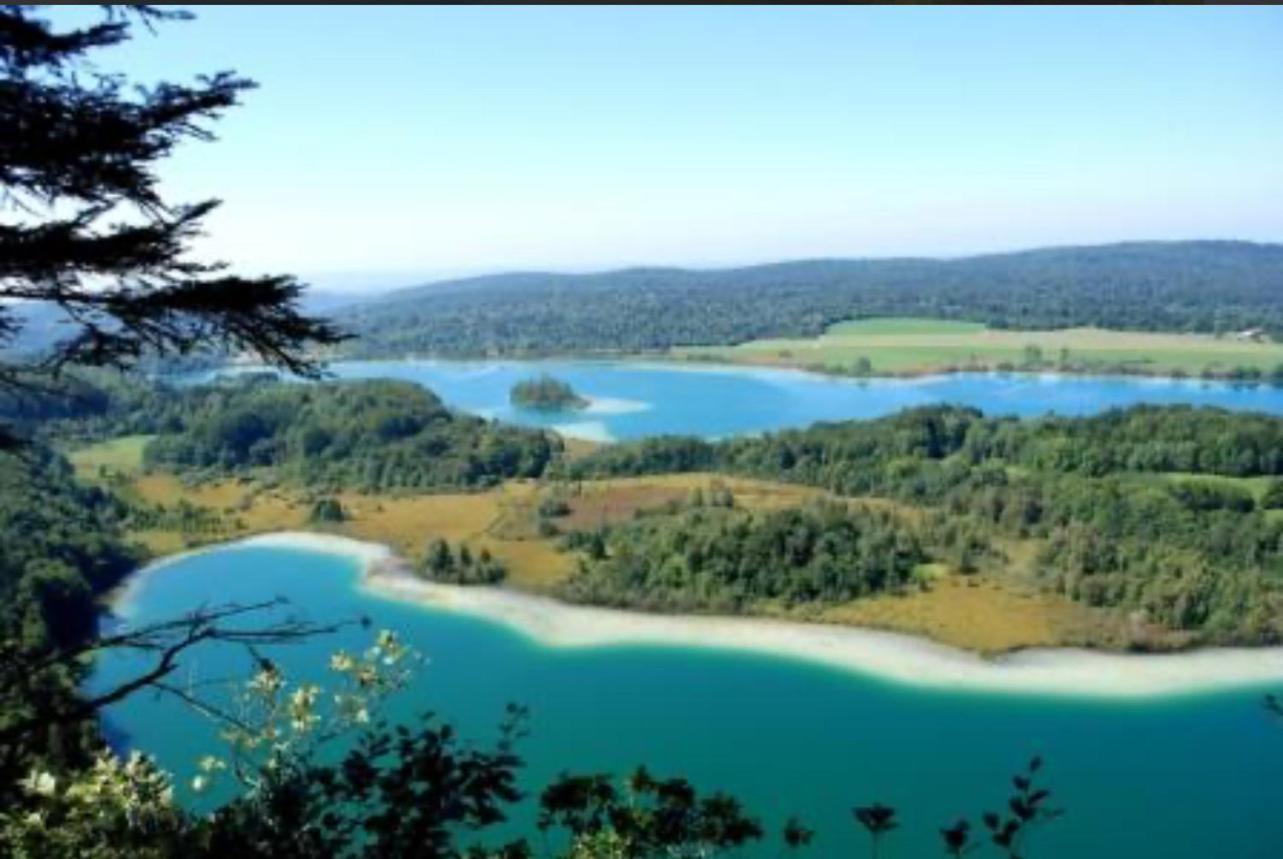 La Champagnolaise * Champagnole